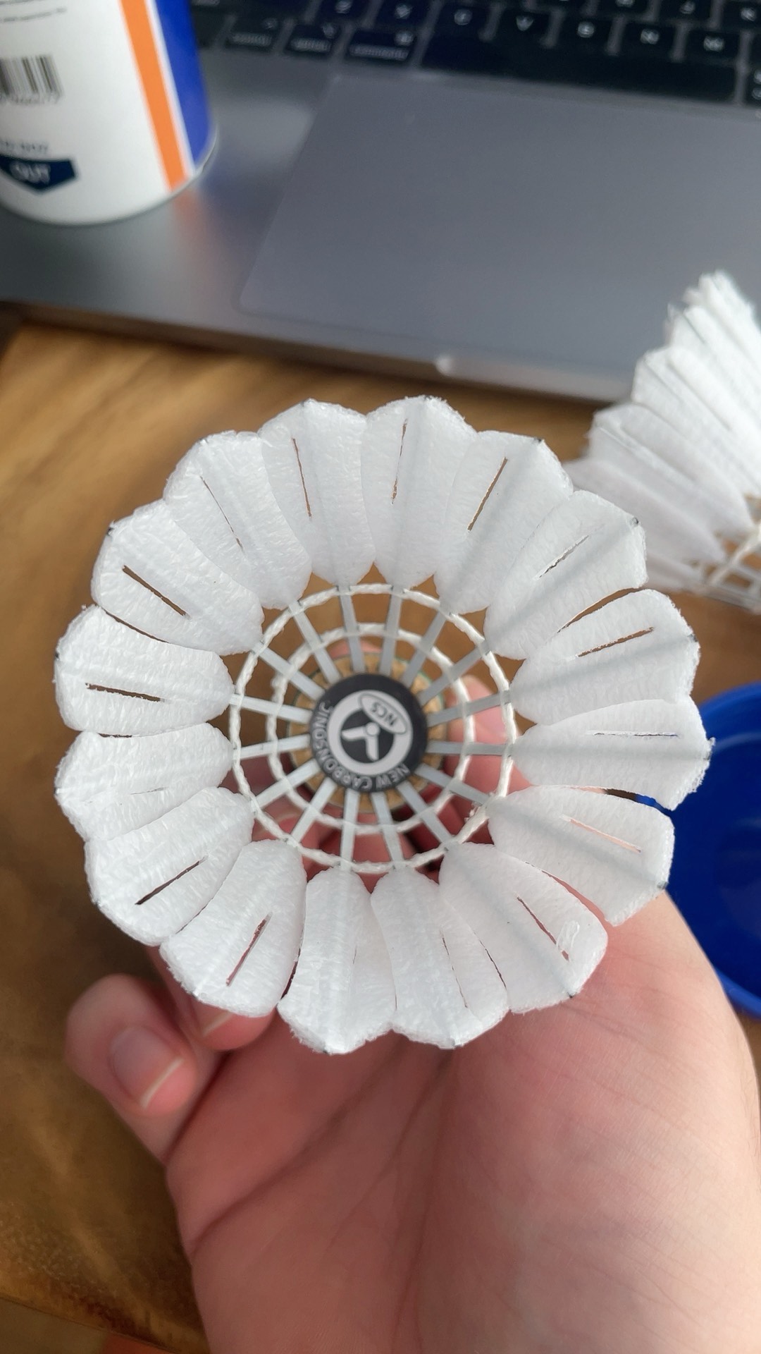 版本差异与 版本差异与